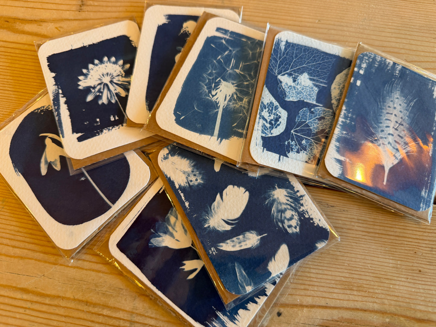 Cyanotype Mini Prints