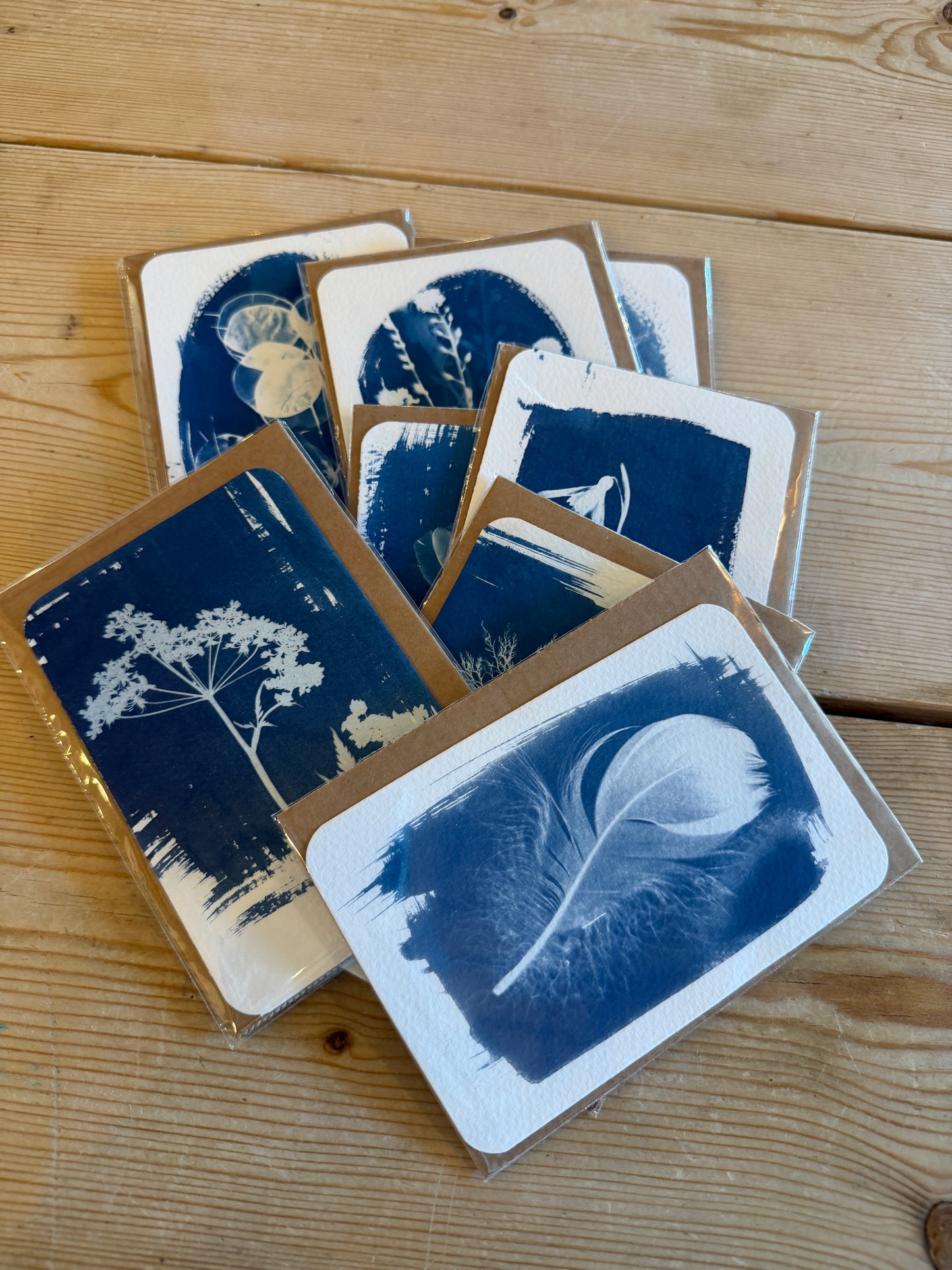 Cyanotype Mini Prints
