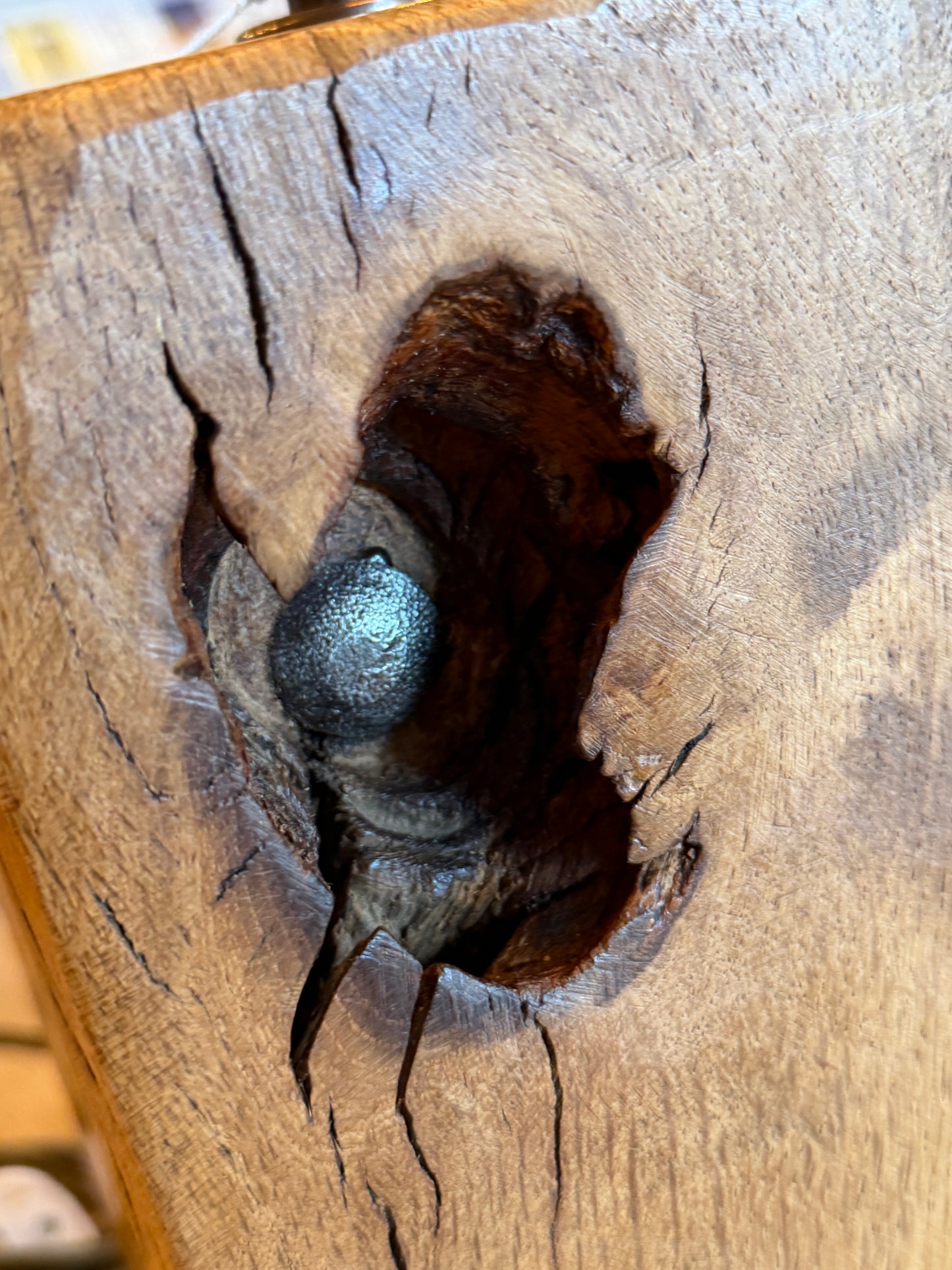 Driftwood lamp base (No.56)