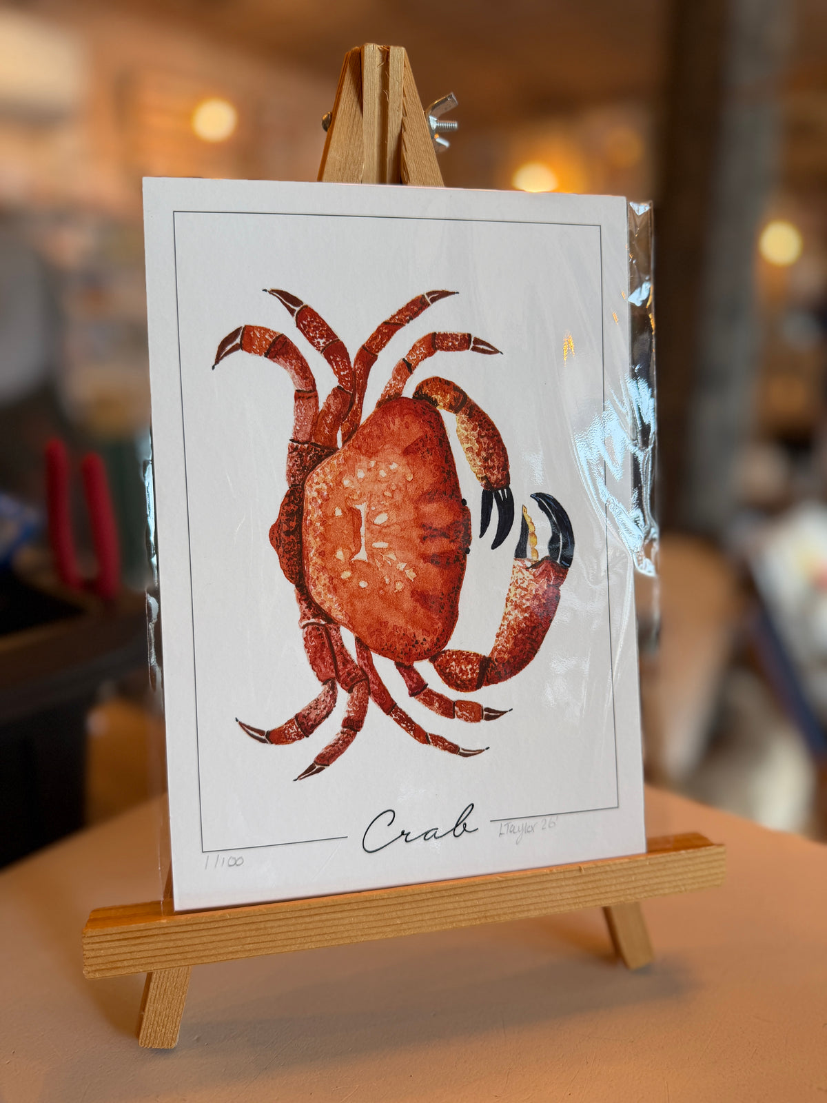 Sealife - Original Watercolour Paintings