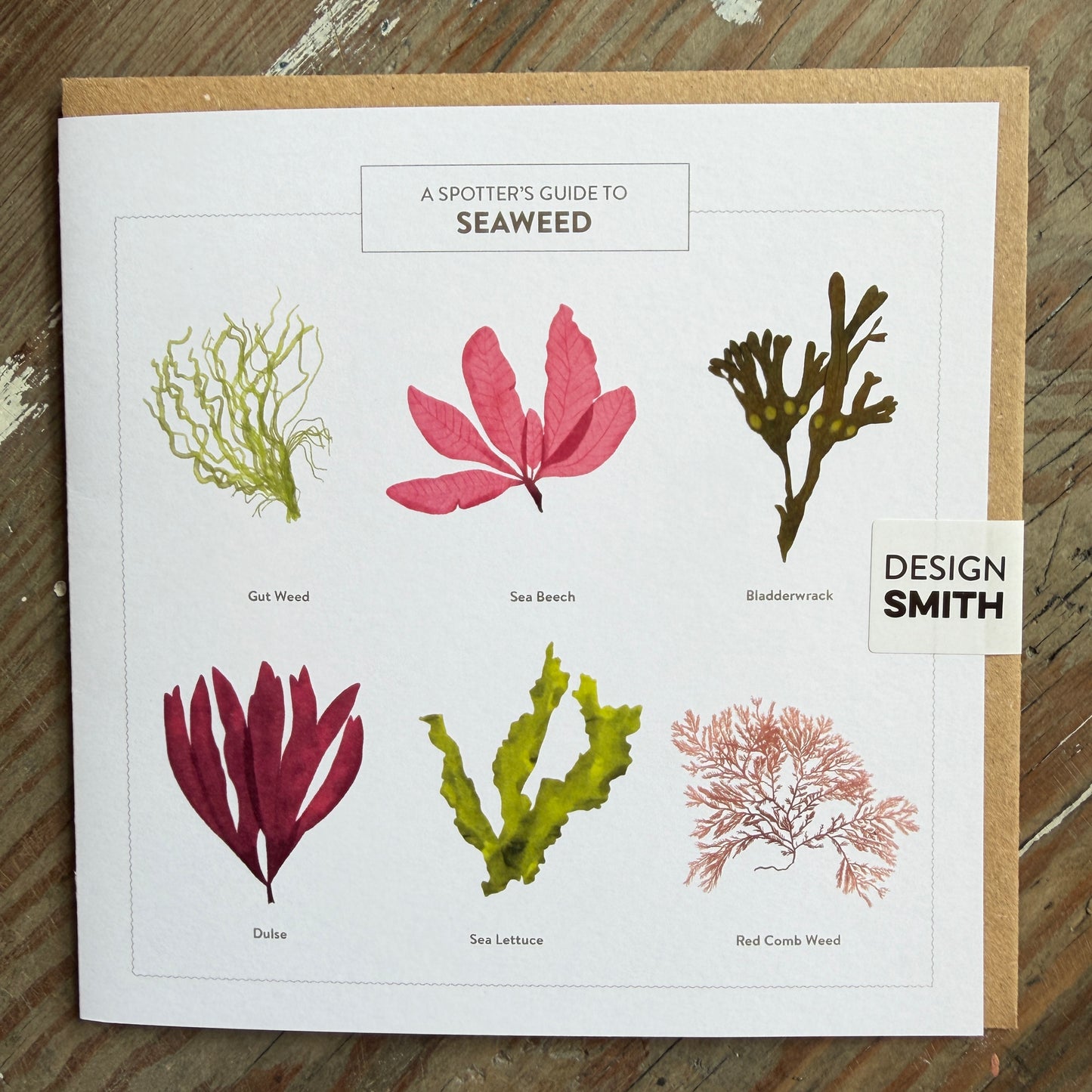 Design Smith Greeting Cards
