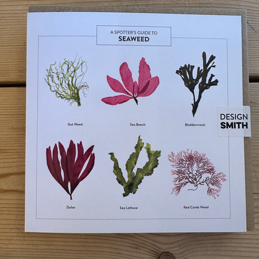 Seaweed Card