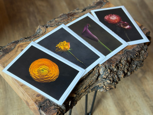 Fine art floral greeting cards - 'Botanicals'