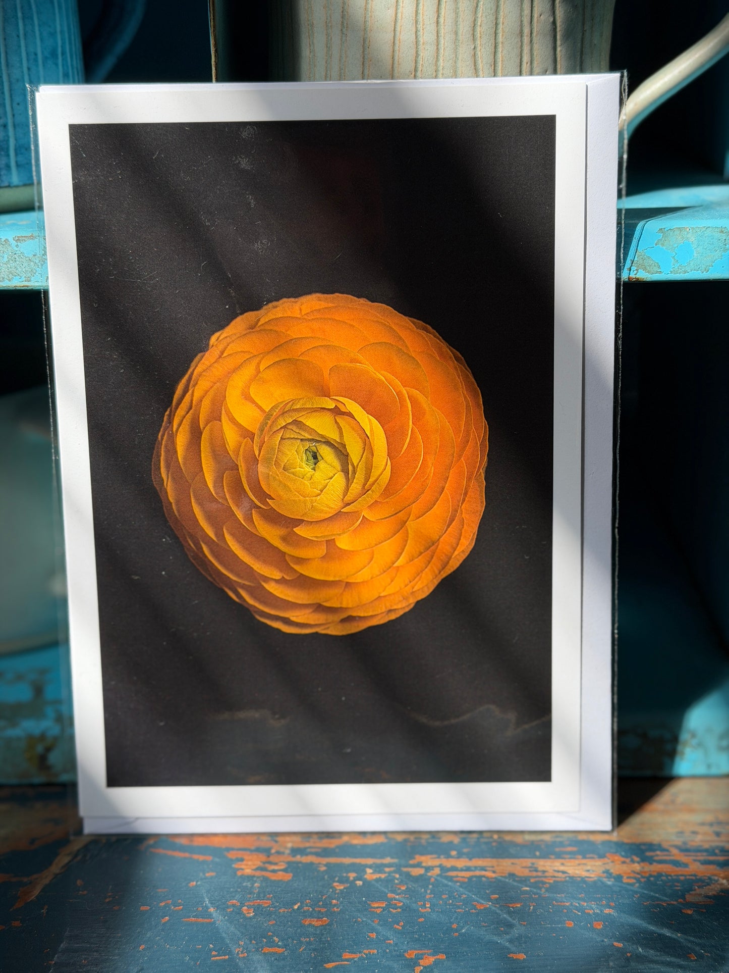 Fine art floral greeting cards - 'Botanicals'