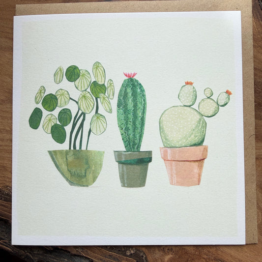 House plant & cacti card 2 - 3 plants