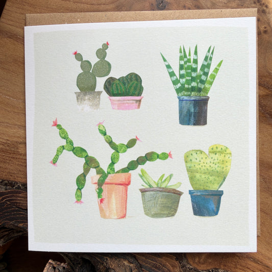 House plant & cacti card 4 - 6 plants