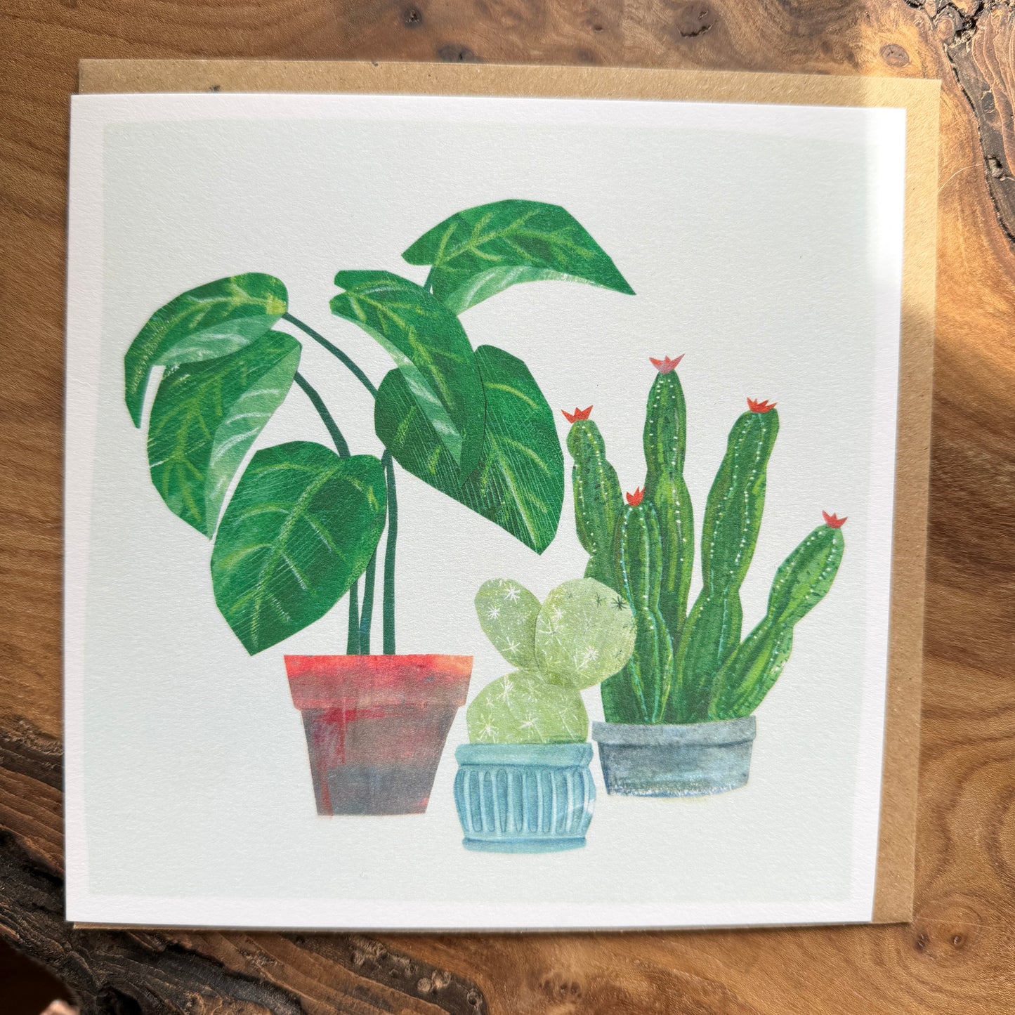 House plant & cacti card 1 - 3 plants