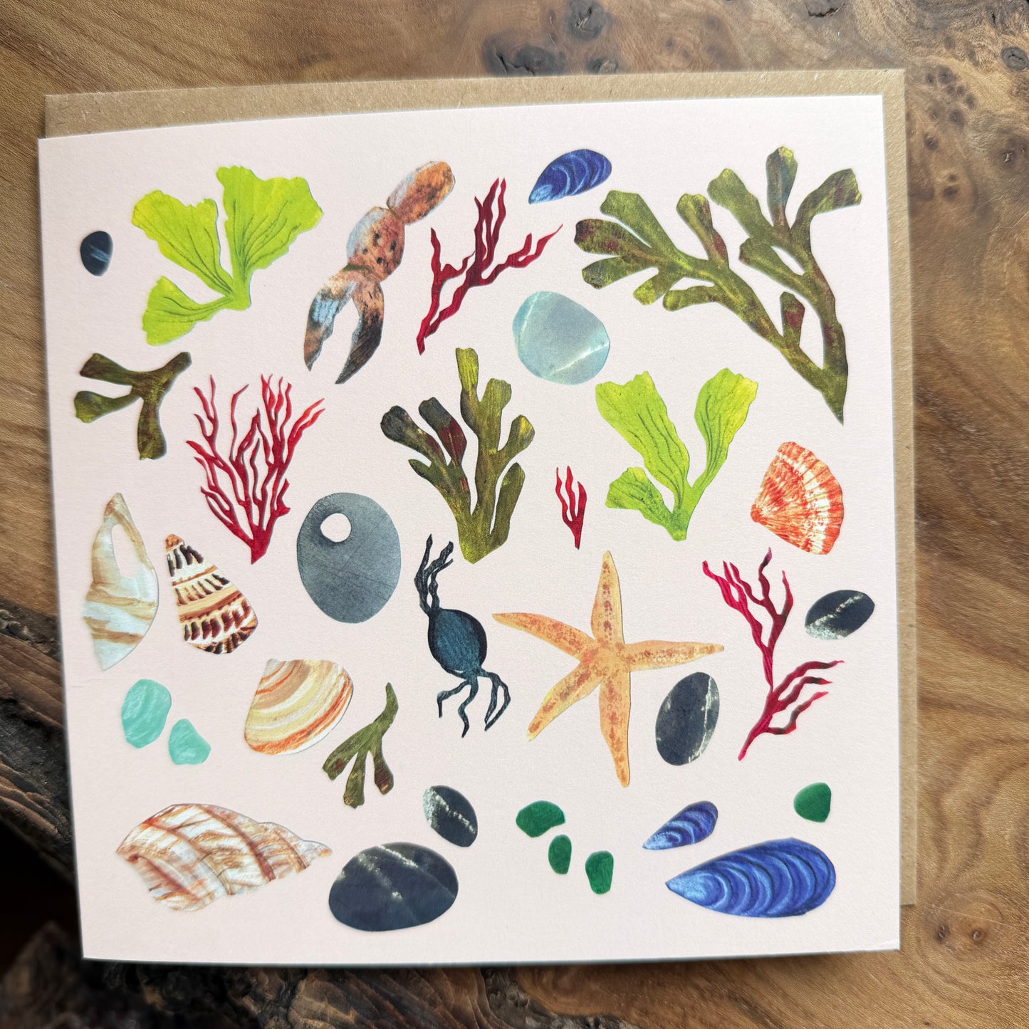 Seaweed & shells card