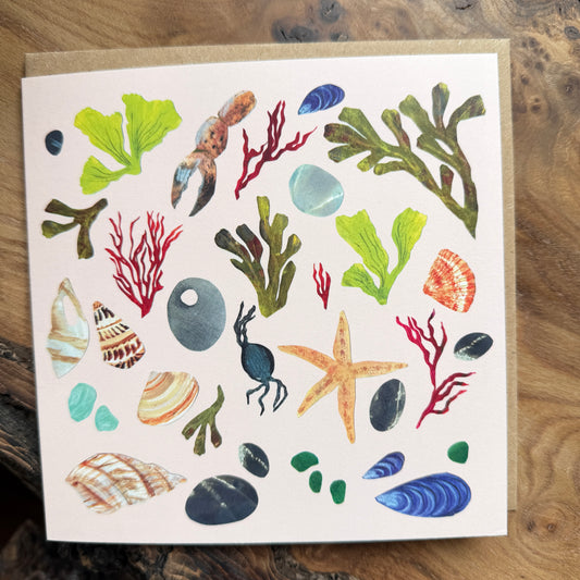 Seaweed & shells card