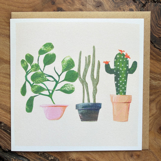 House plant & cacti card 3 - 3 plants