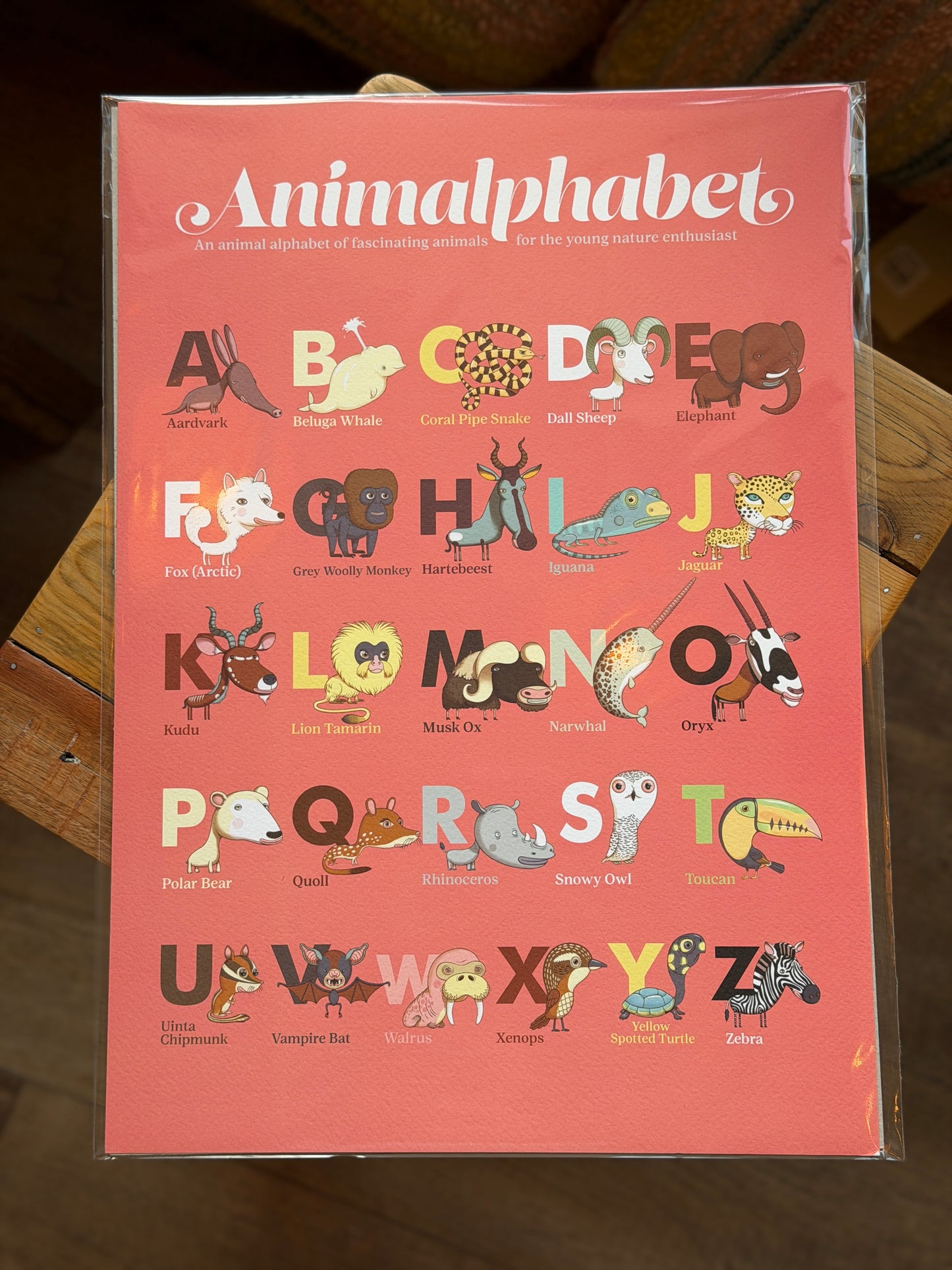 Animalphabet - A3 poster