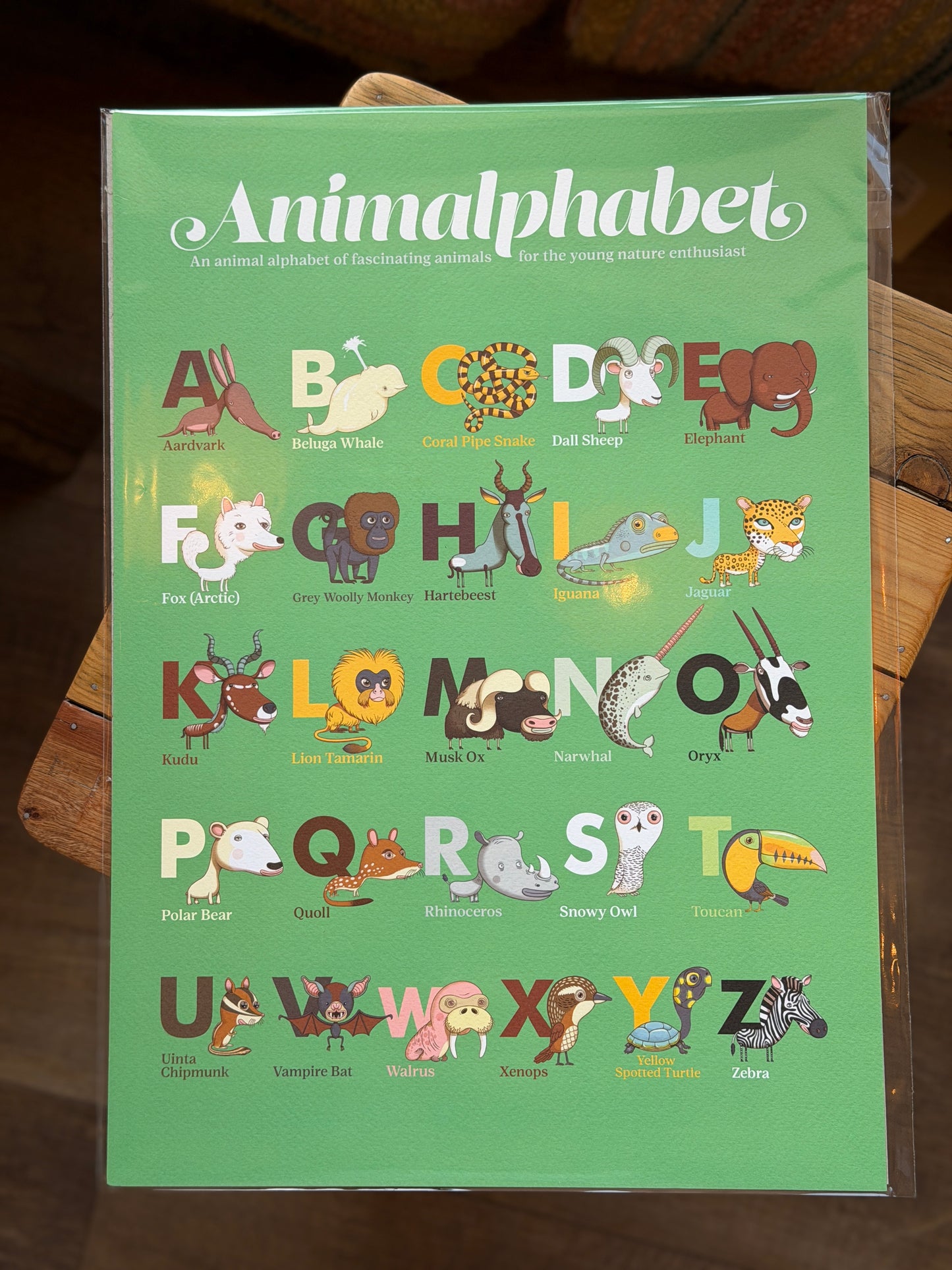 Animalphabet - A3 poster