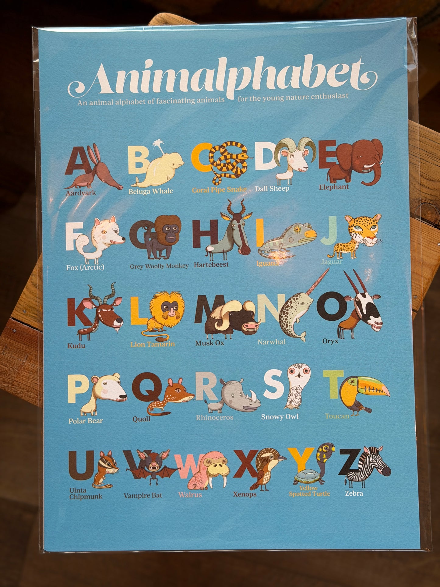 Animalphabet - A3 poster
