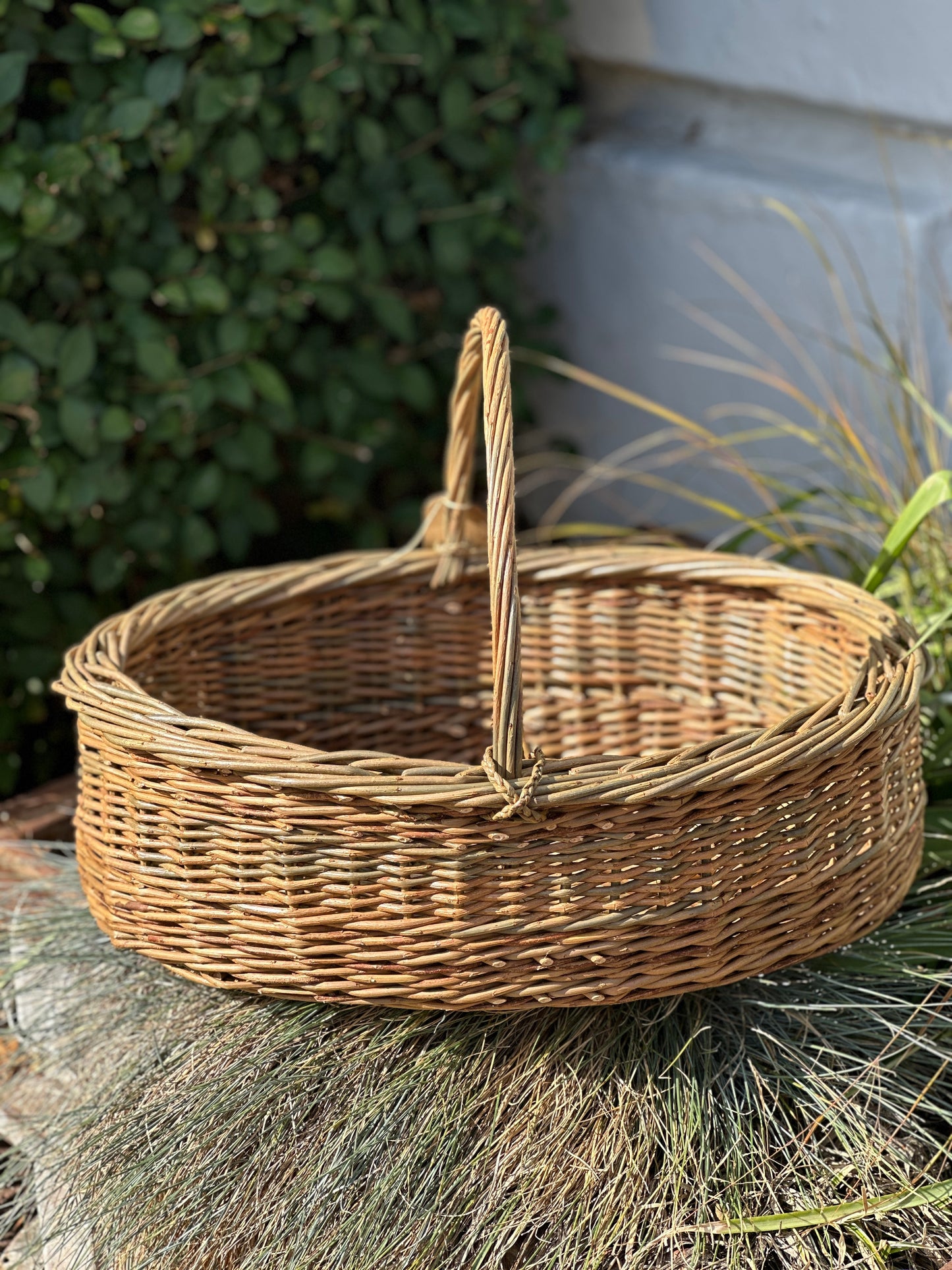 Oval Trog Basket