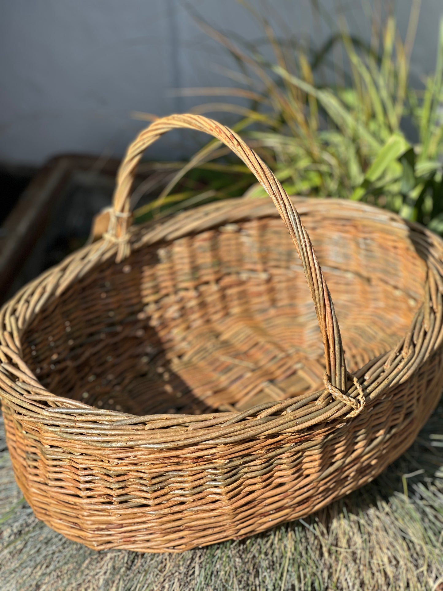 Oval Trog Basket