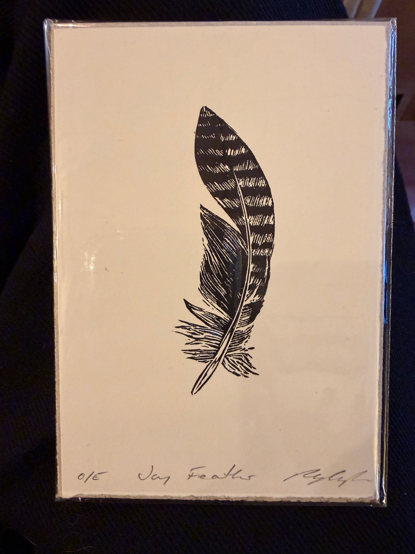 Jay Feather