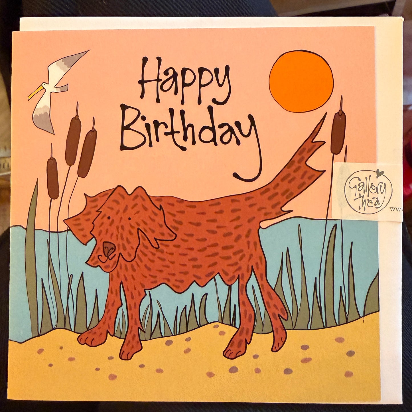 Happy Birthday Dog in the Marshes