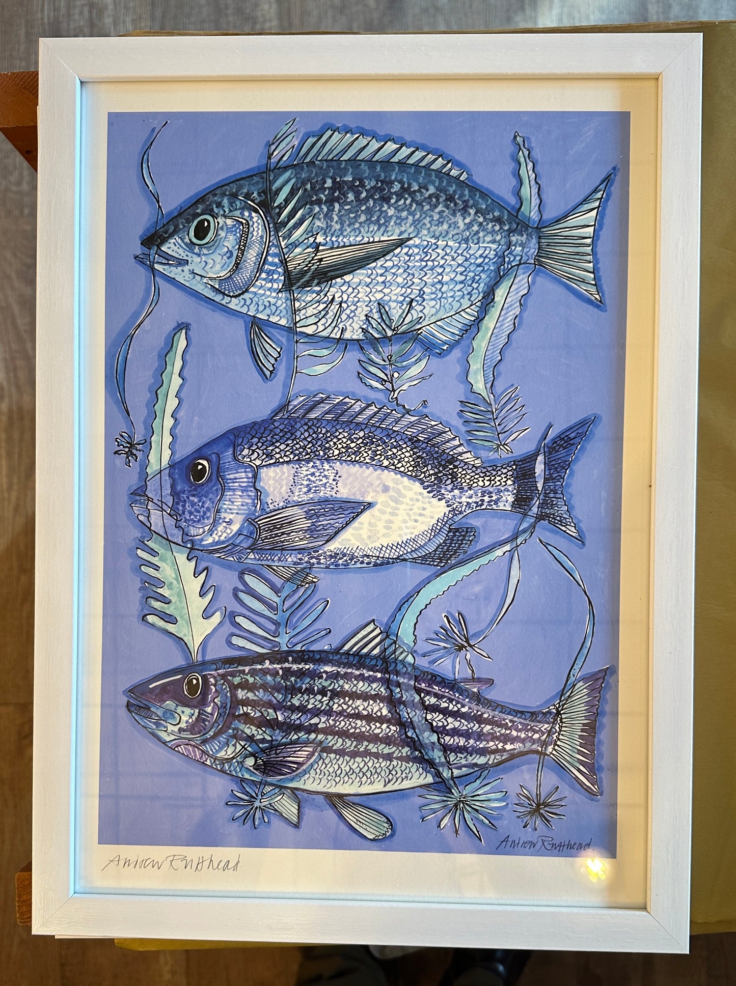 Three Blue Fish Giclee Print