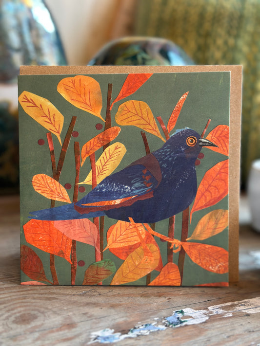 Blackbird Card