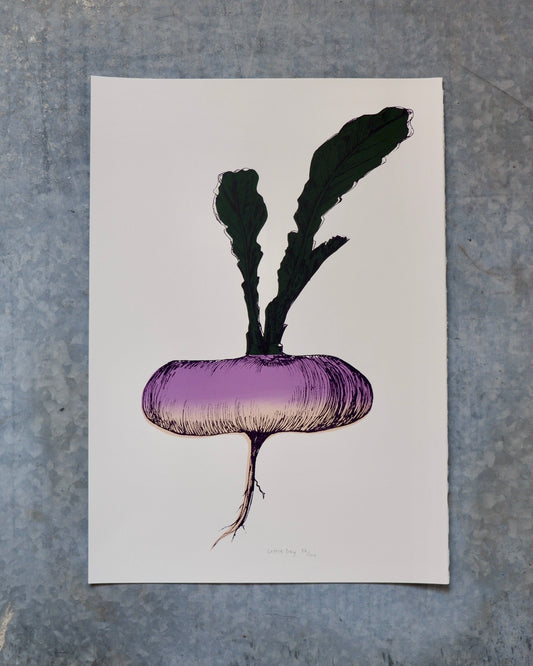 A2 Purple Turnip screen print lottie day illustrations nature vegetable art gardening