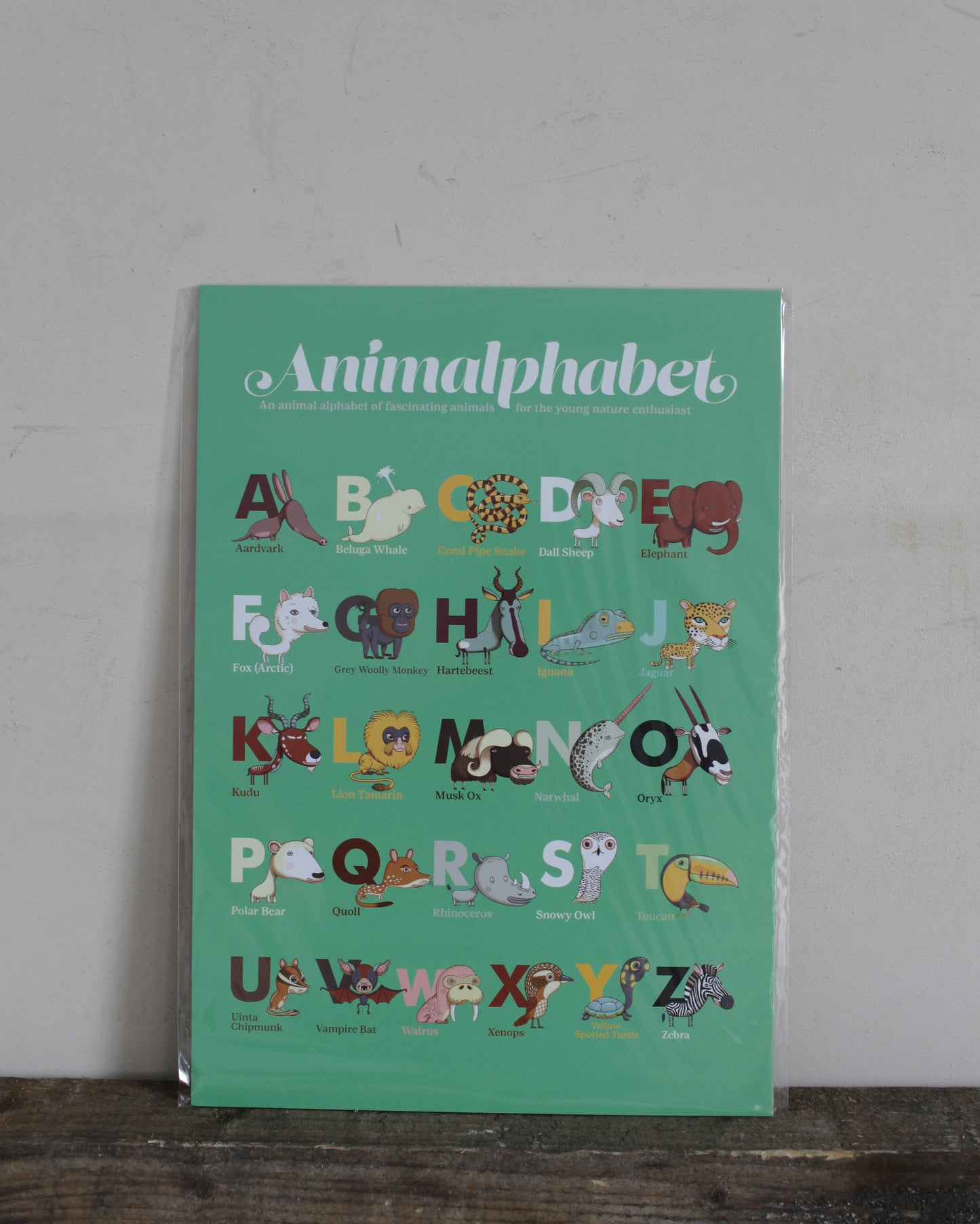 Animalphabet :The Children's Guides to Natural History