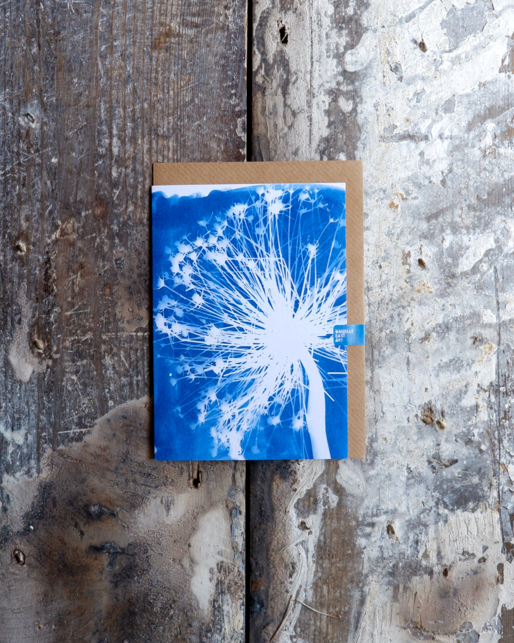 Danielle East | Allium Dried Christopher cyanotype card