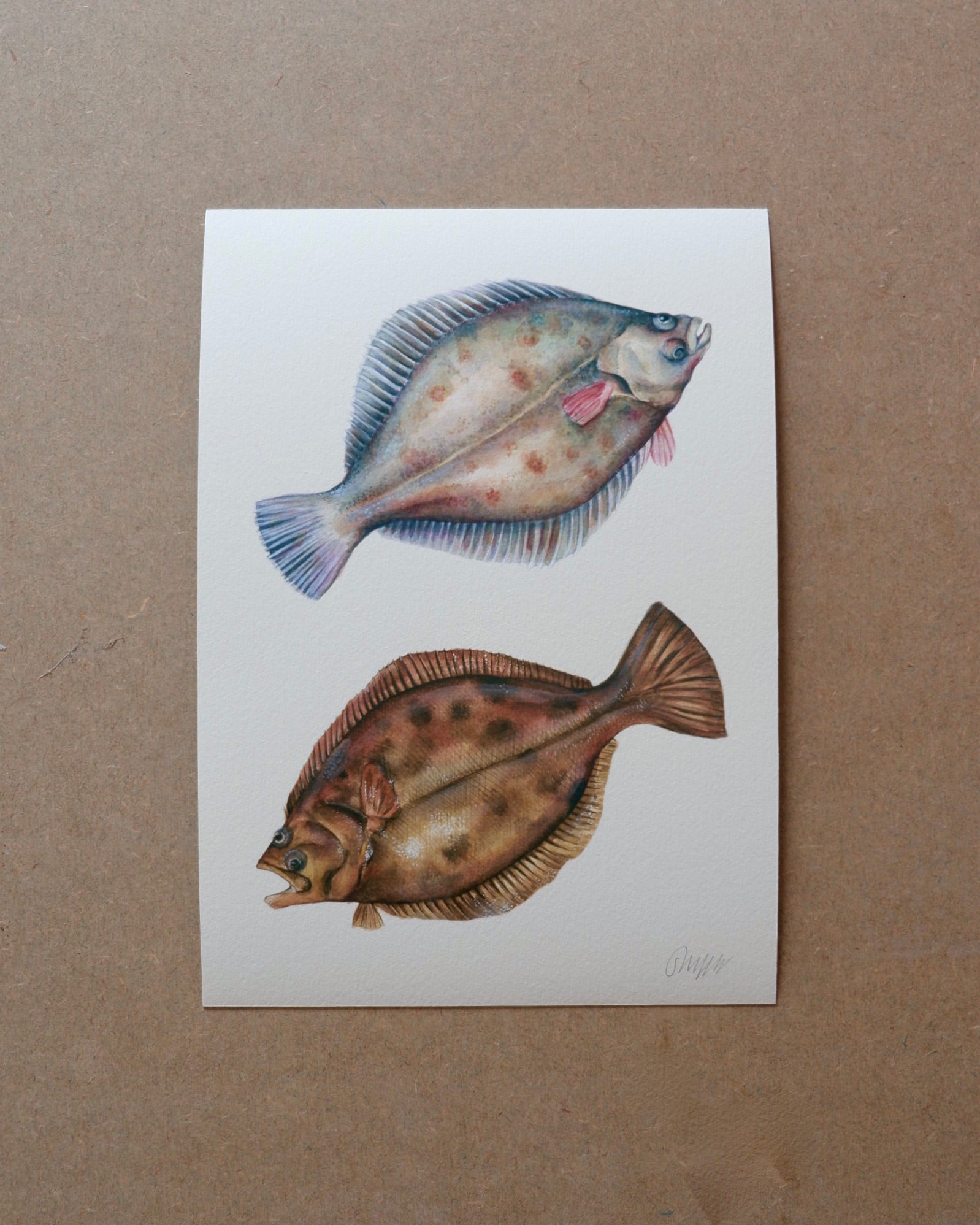 Flatfish - A3 print sophie myers artwork seaside watercolour fish wildlife print