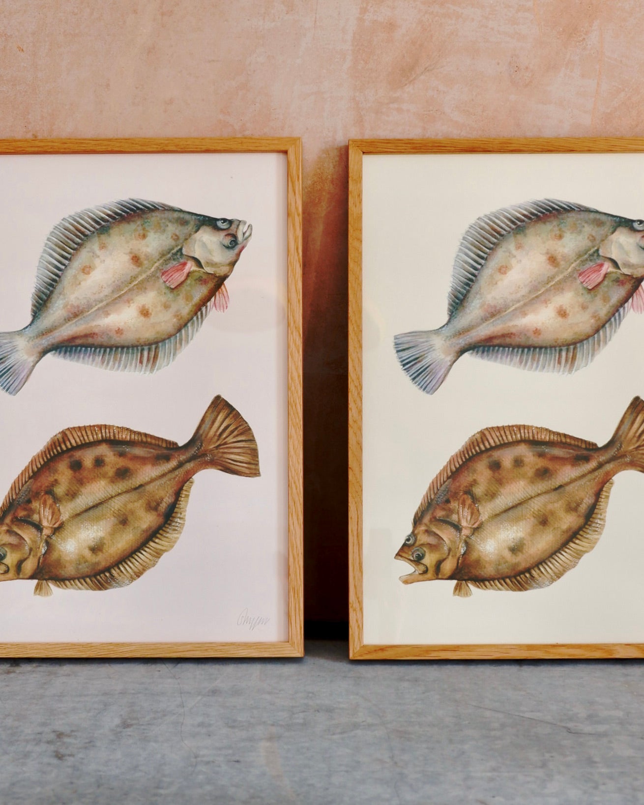 Flatfish - framed A3 print sophie myers artwork seaside watercolour fish wildlife print