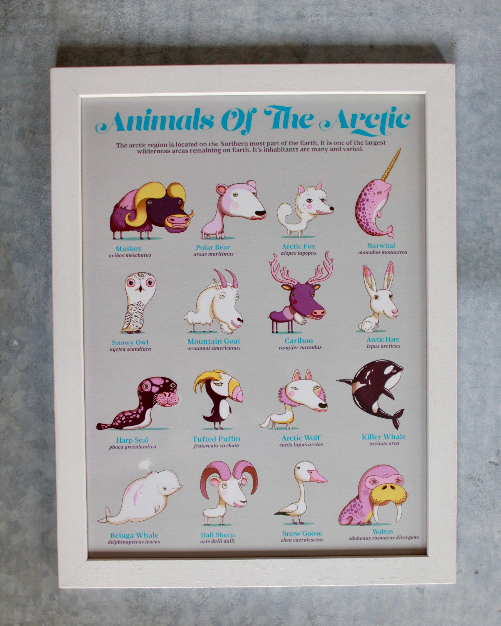 Andy Ward Illustration - Animals of the arctic print