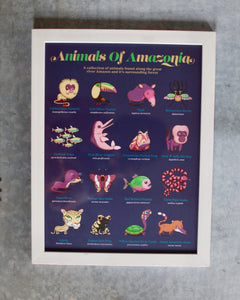 Andy Ward Illustration - Animals of Amazonia print