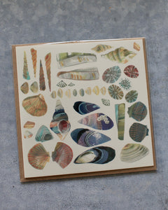 Shell Collection card