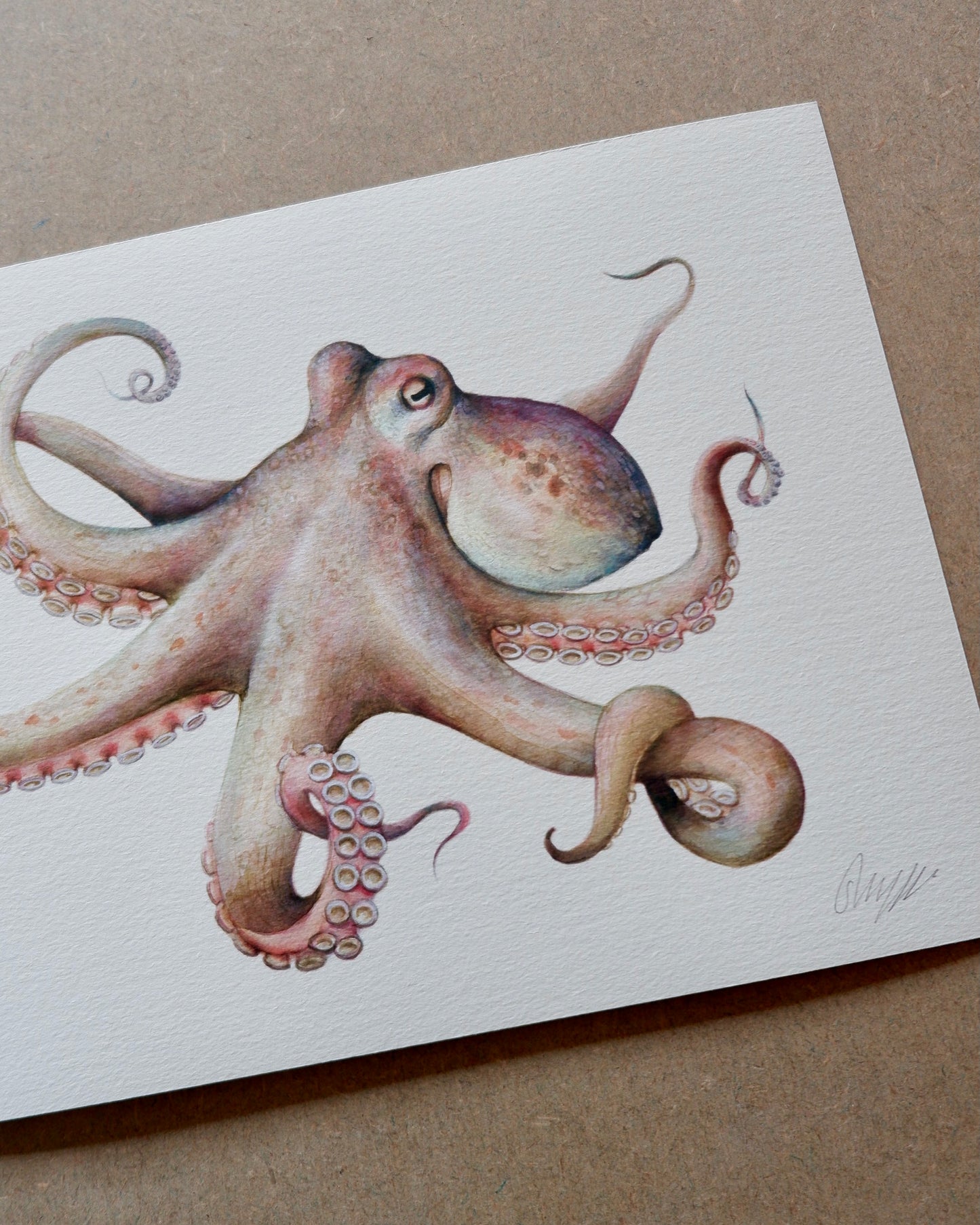  sophie myers artwork seaside watercolour fish wildlife print Octopus - A3 print