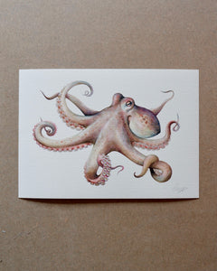  sophie myers artwork seaside watercolour fish wildlife print Octopus - A4 print