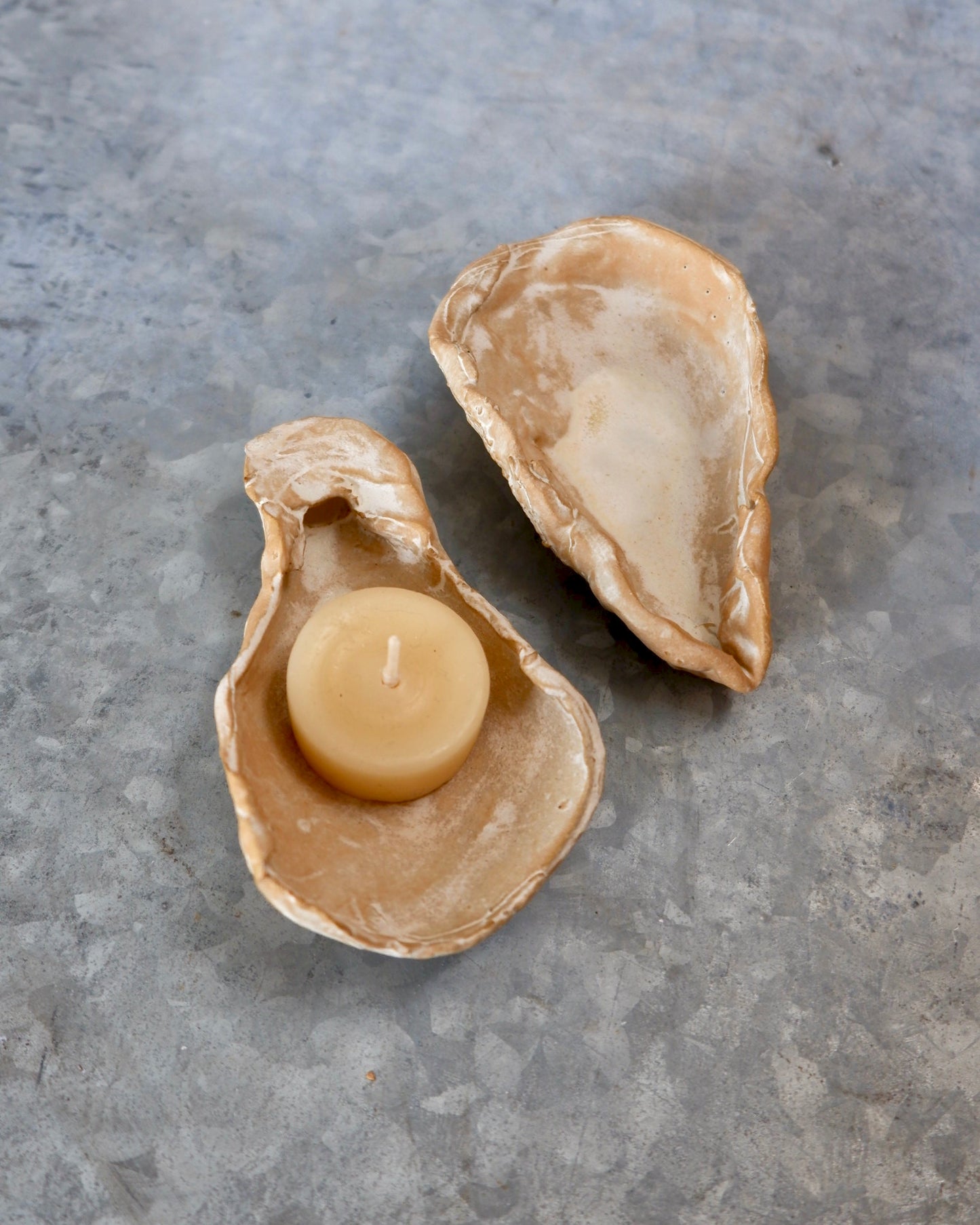 Humbleyard | Oyster Shell