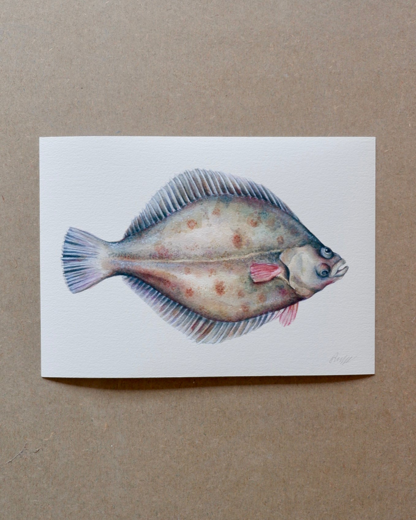 Plaice Fish - A4 print sophie myers artwork seaside watercolour fish wildlife print