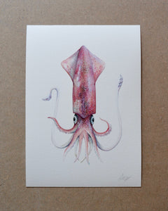 Squid - A4 print sophie myers artwork seaside watercolour fish wildlife print