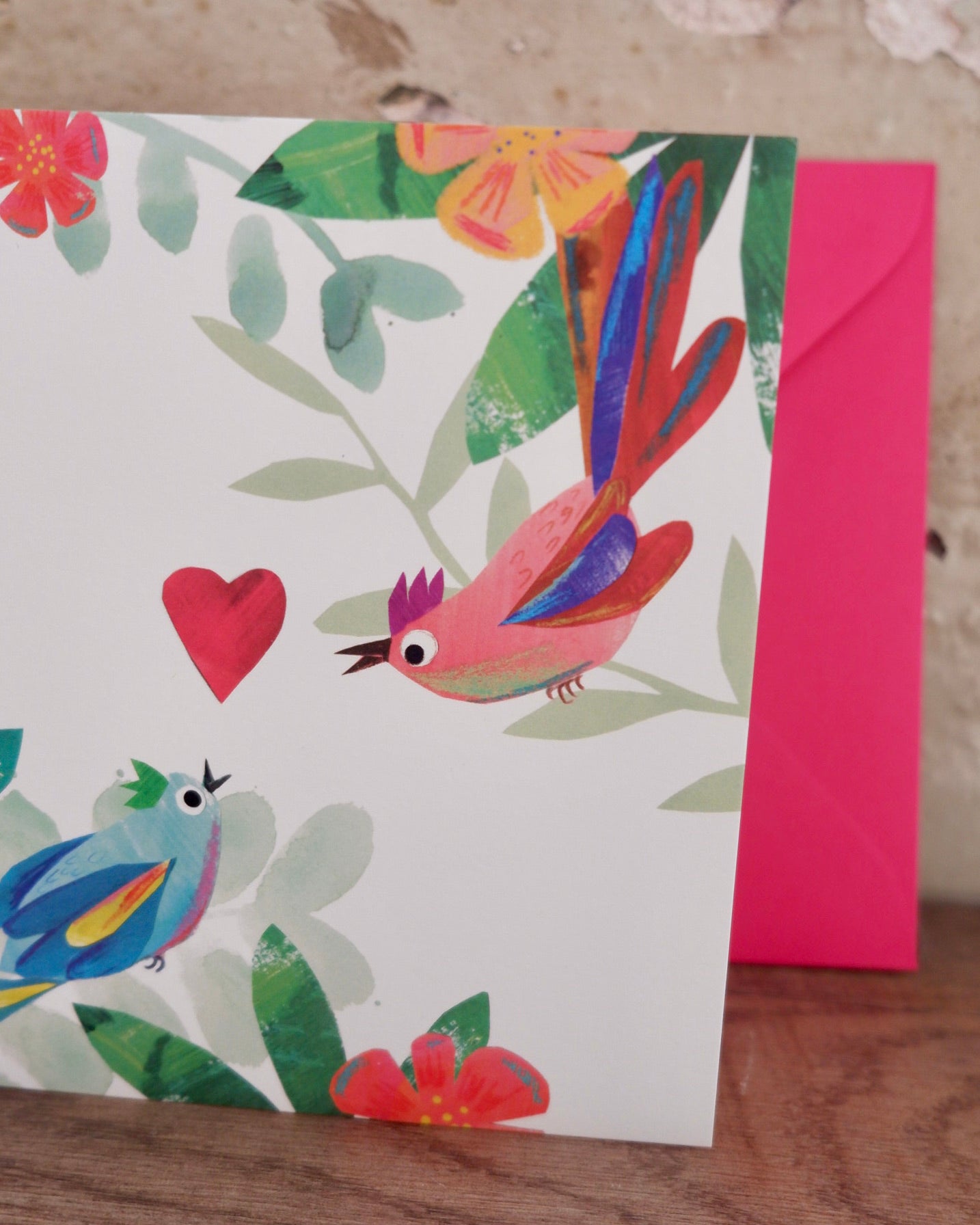 kate read illustrations animal cartoons greetings card love birds valentine's day
