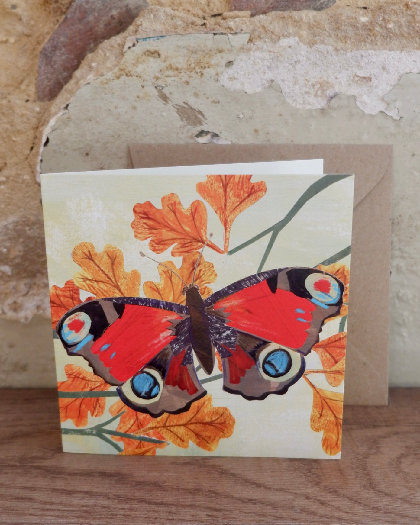 kate read illustrations animal cartoons greetings card  peacock butterfly